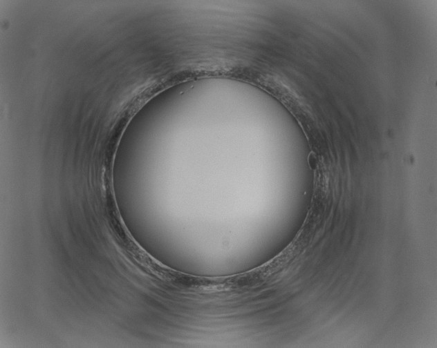 X0000063460692200601200930