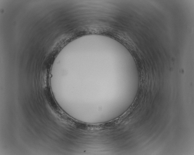 X0000063460694200601200930
