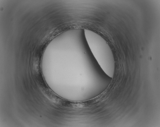 X0000063460698200601200930