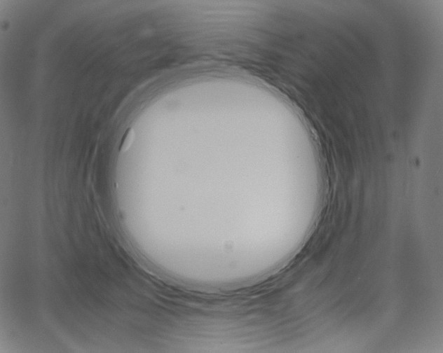 X0000063460705200601200930