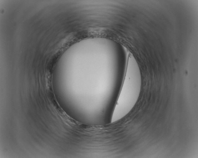 X0000063460712200601200930