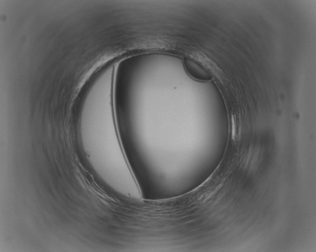 X0000063460723200601200929