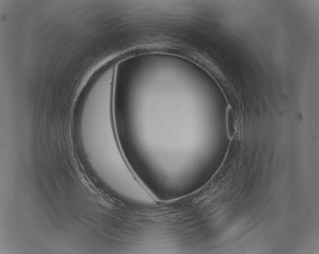 X0000063460724200601200929