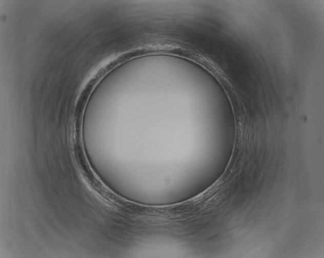 X0000063460726200601200929