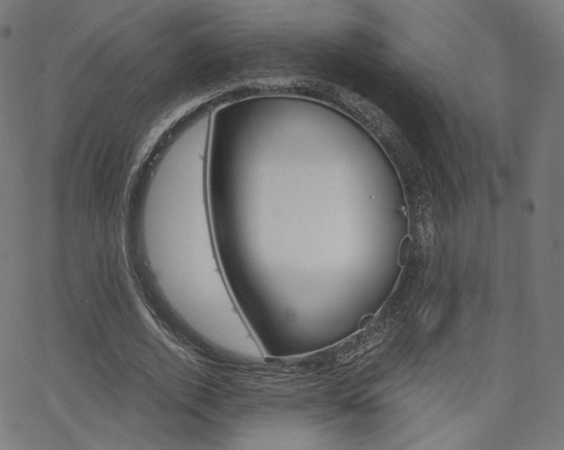 X0000063460728200601200929