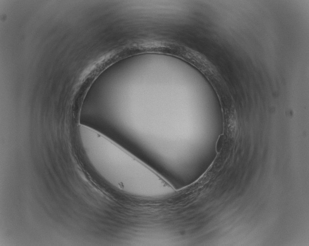 X0000063460732200601200929