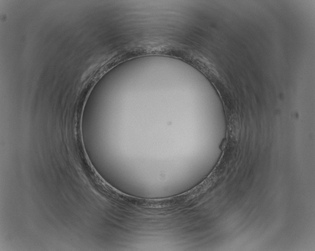 X0000063460740200601200929