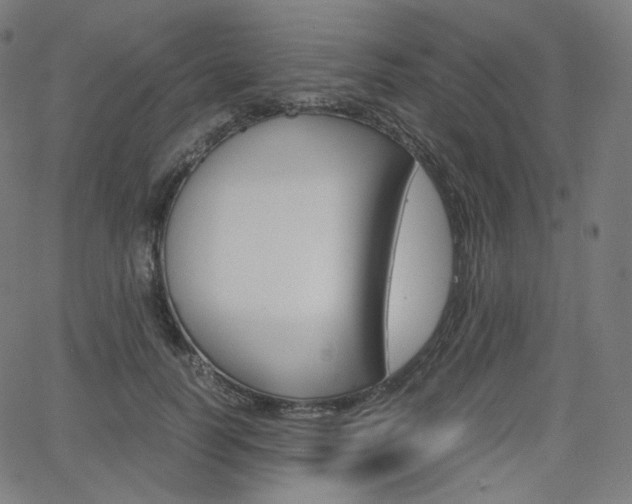 X0000063460746200601200930