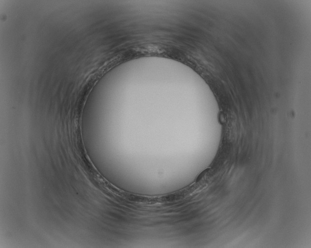X0000063460747200601200930
