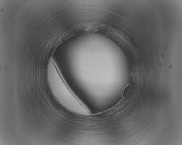 X0000063460748200601200930