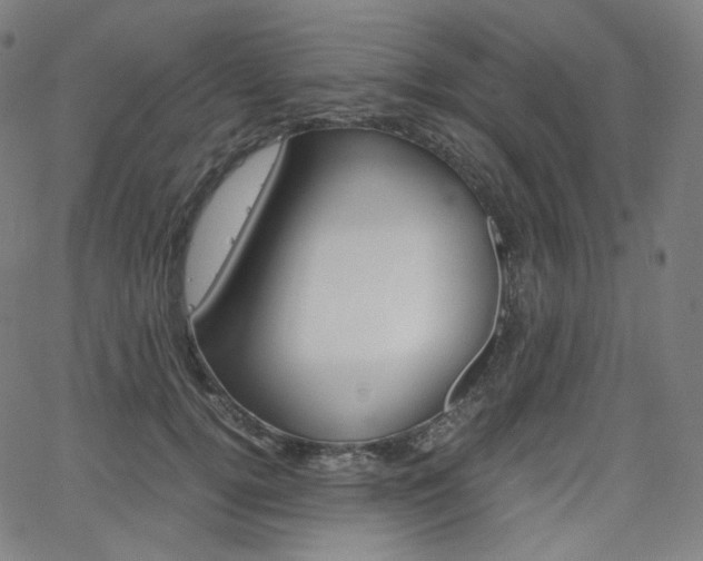 X0000063460752200601200930