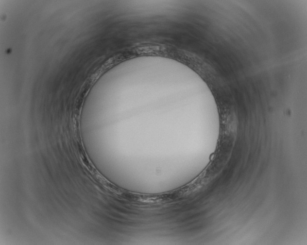 X0000063460753200601200930