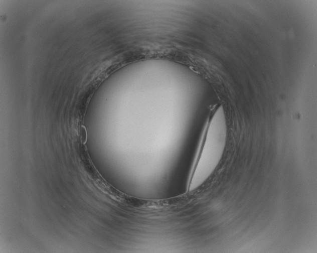 X0000063460756200601200930