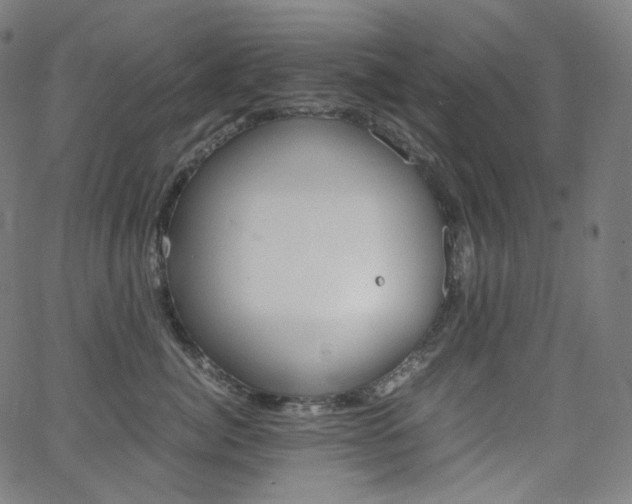 X0000063460764200601200930