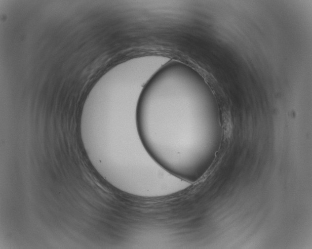 X0000063460766200601200930