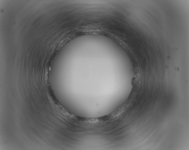 X0000063460767200601200930
