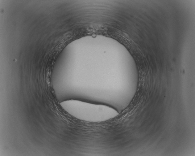 X0000063460770200601200929