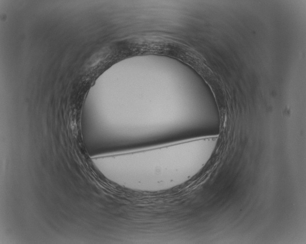X0000063460771200601200929