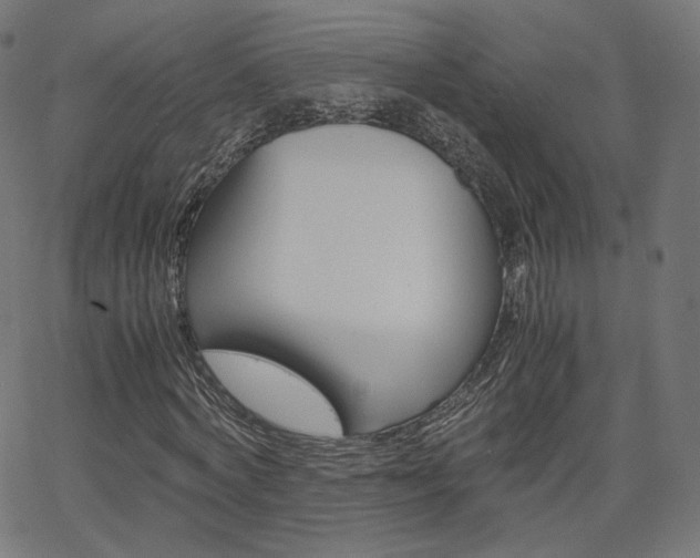 X0000063460772200601200929