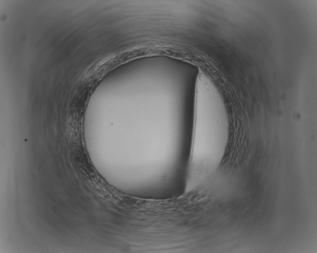 X0000063460773200601200929