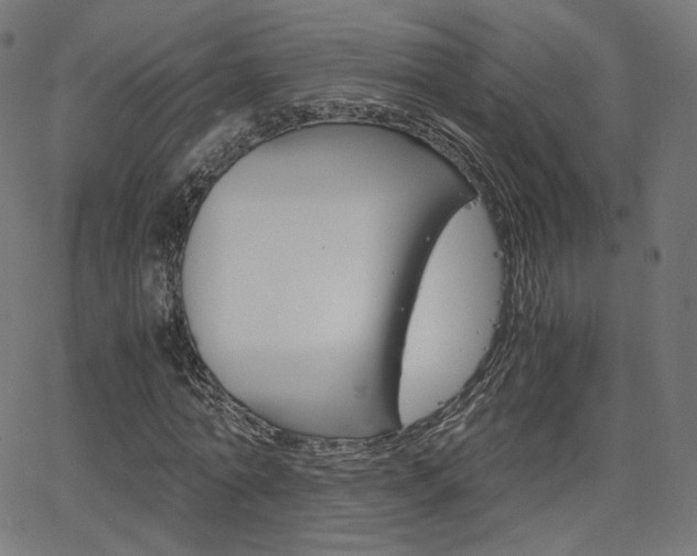 X0000063460774200601200929