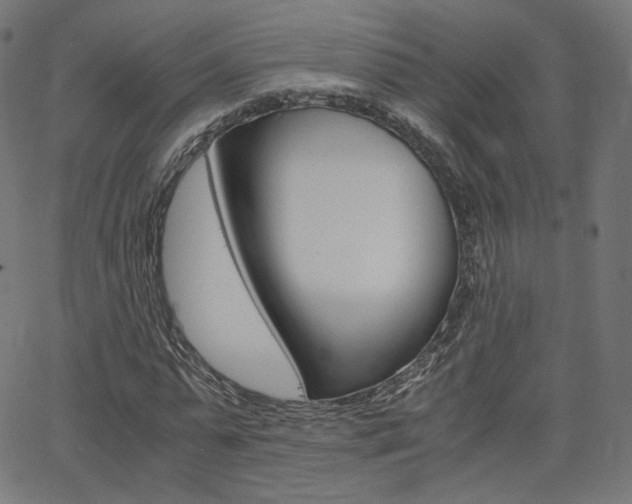 X0000063460775200601200929