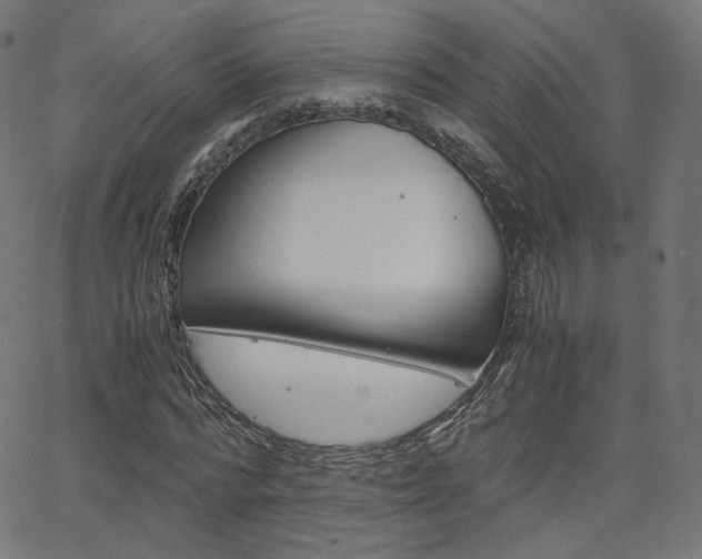 X0000063460776200601200929