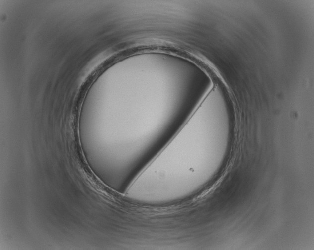 X0000063460783200601200929
