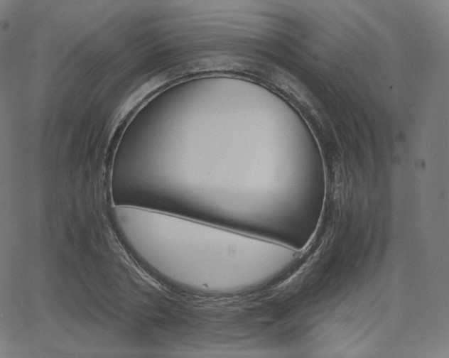 X0000063460786200601200929