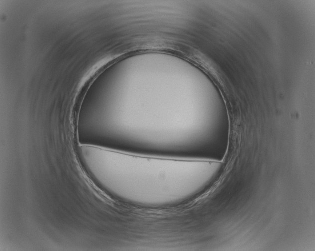 X0000063460787200601200929