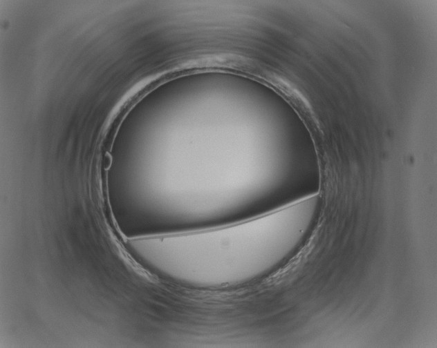 X0000063460792200601200929