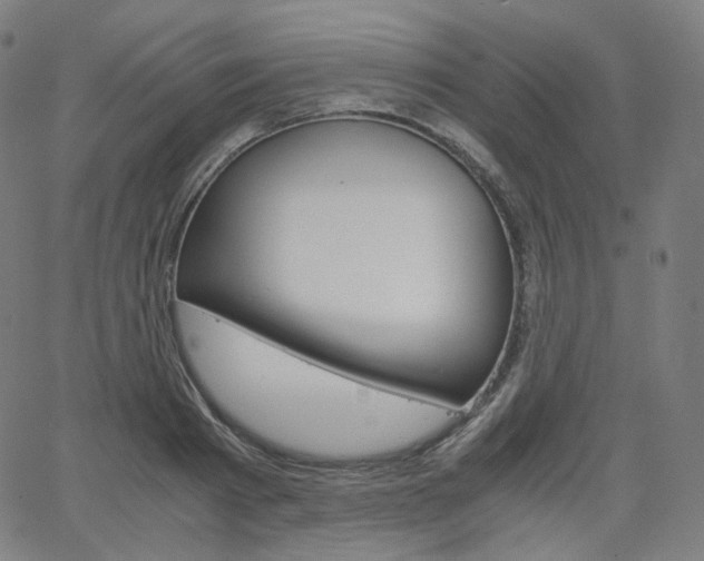X0000063460793200601200929