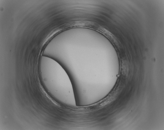 X0000063460794200601200929