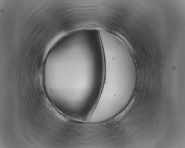 X0000063460812200601200928