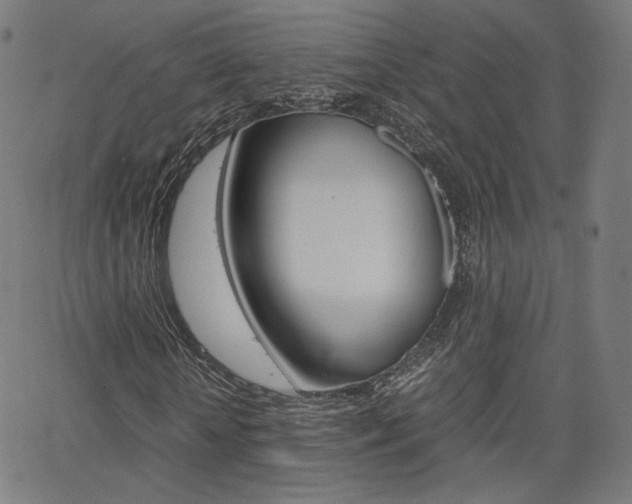 X0000063460818200601200928