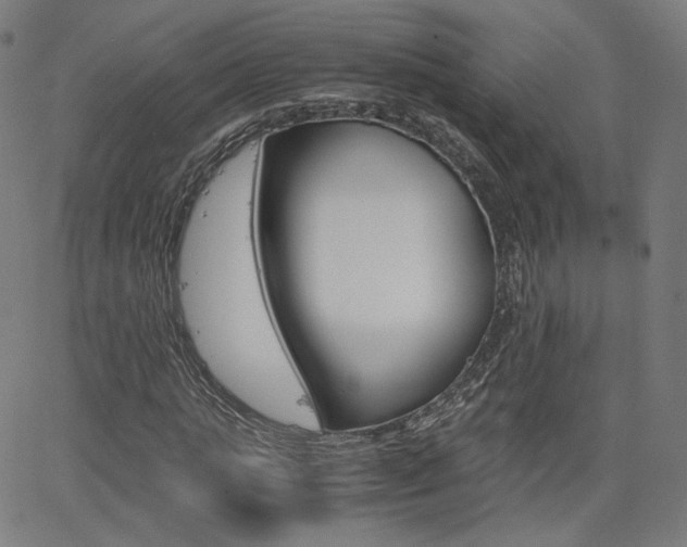 X0000063460821200601200928