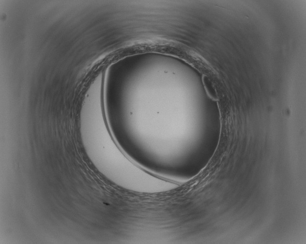 X0000063460822200601200928