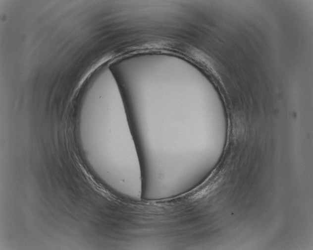 X0000063460827200601200928