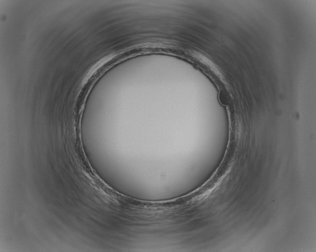 X0000063460829200601200928