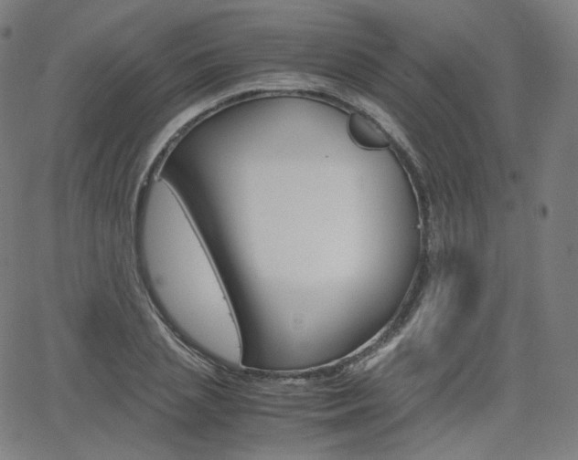 X0000063460837200601200928