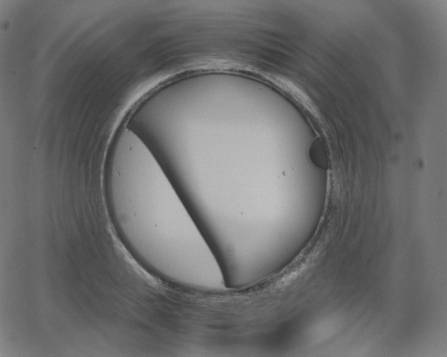 X0000063460839200601200928