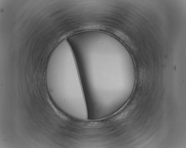 X0000063460841200601200928