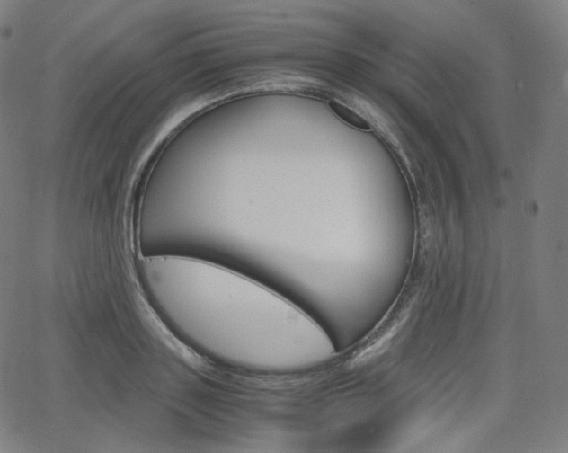 X0000063460843200601200928