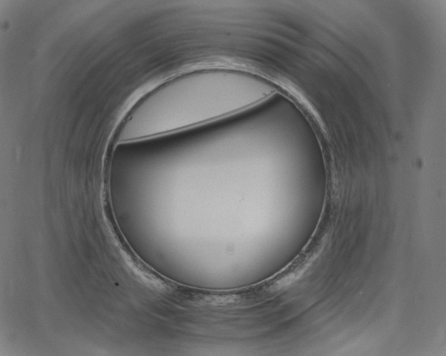 X0000063460845200601200928
