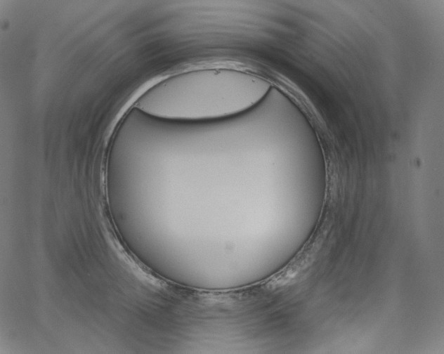 X0000063460852200601200928