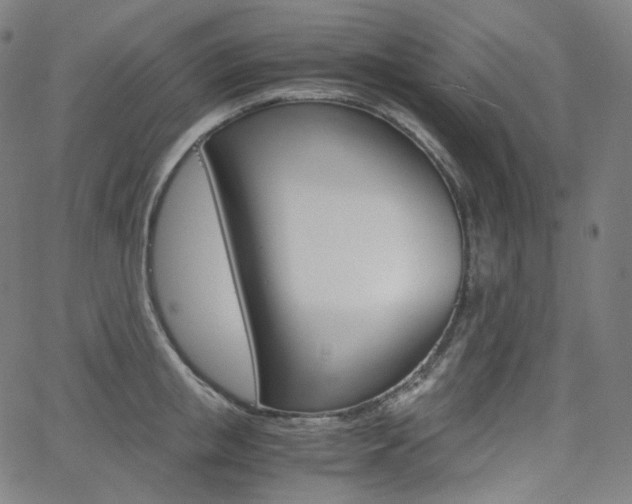 X0000063460853200601200928