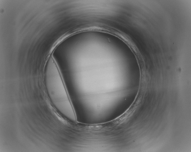 X0000063460858200601200928