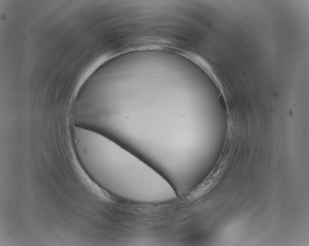 X0000063460859200601200928