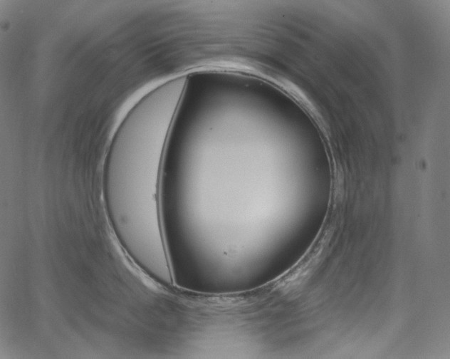 X0000063460862200601200928