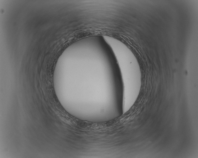 X0000063460865200601200928